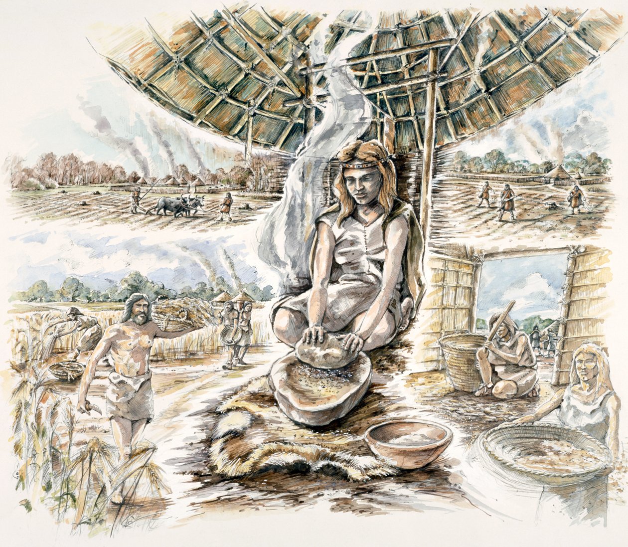 Neoliittinen viljantuotanto, 1990-2010 tekijältä Peter Dunn