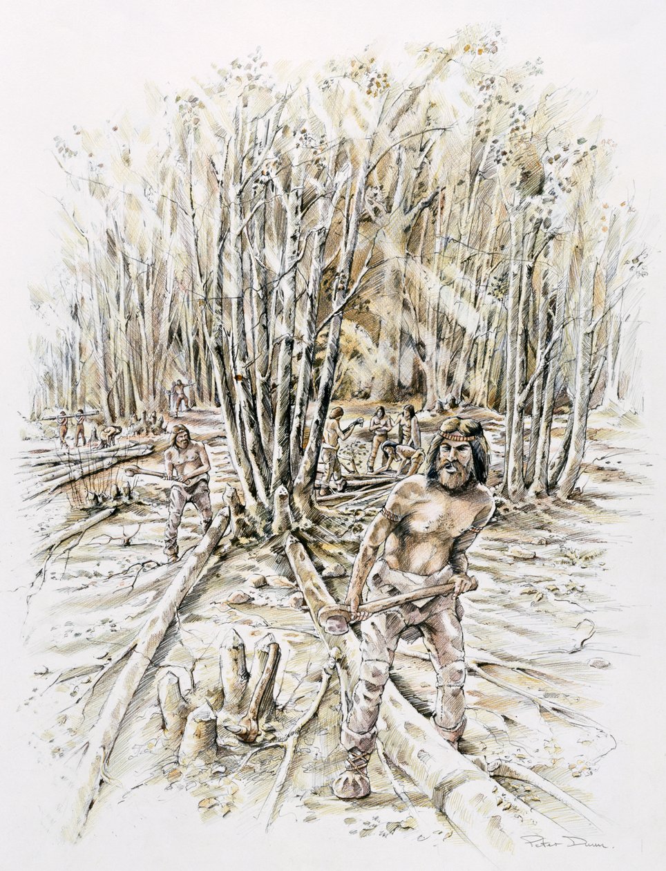 Piikiviippauksen käyttötarkoitukset, Esihistoriallinen, c1990-2010 tekijältä Peter Dunn