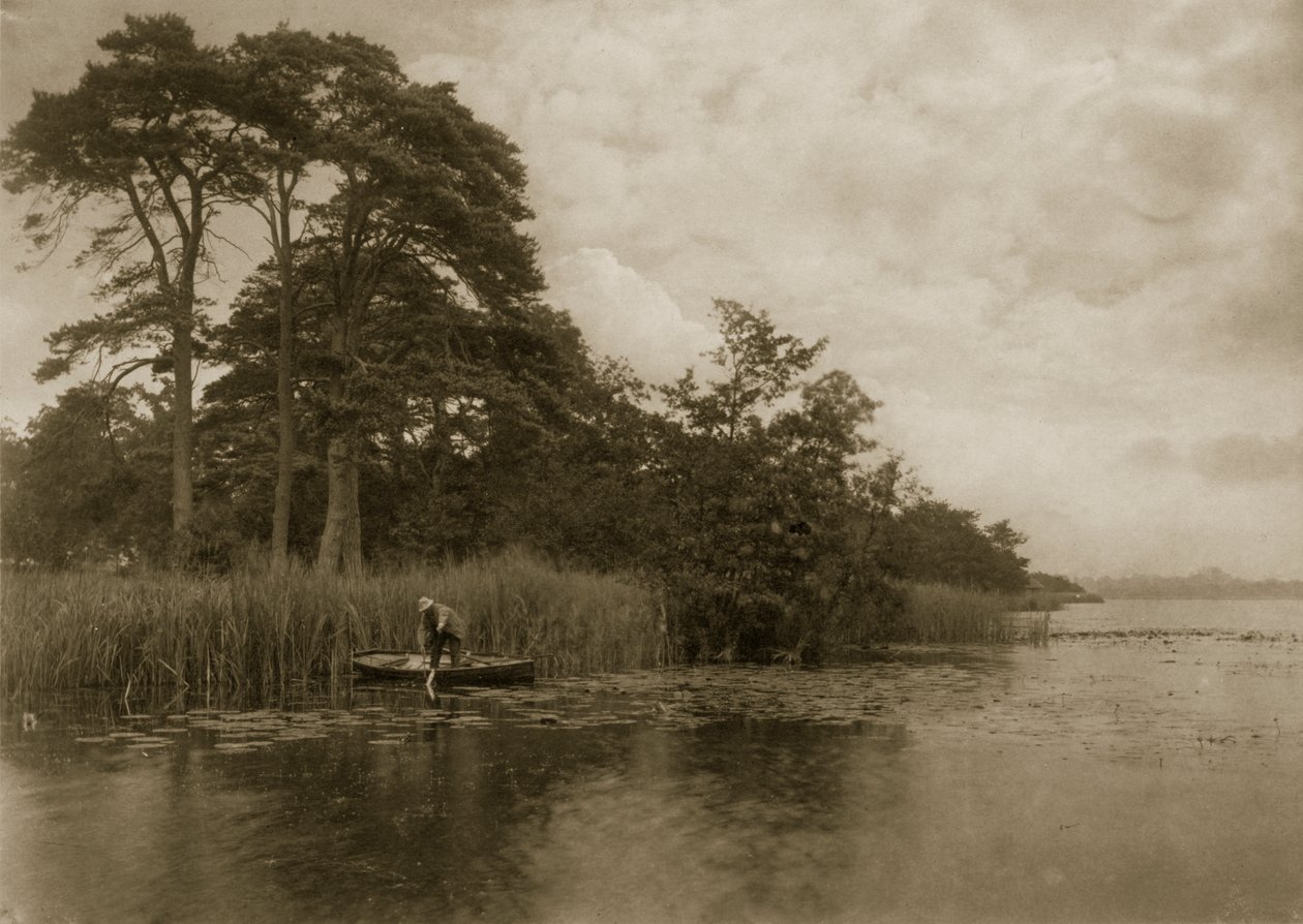 The Haunt of the Pike, noin 1886 tekijältä Peter Emerson und Thomas Goodall