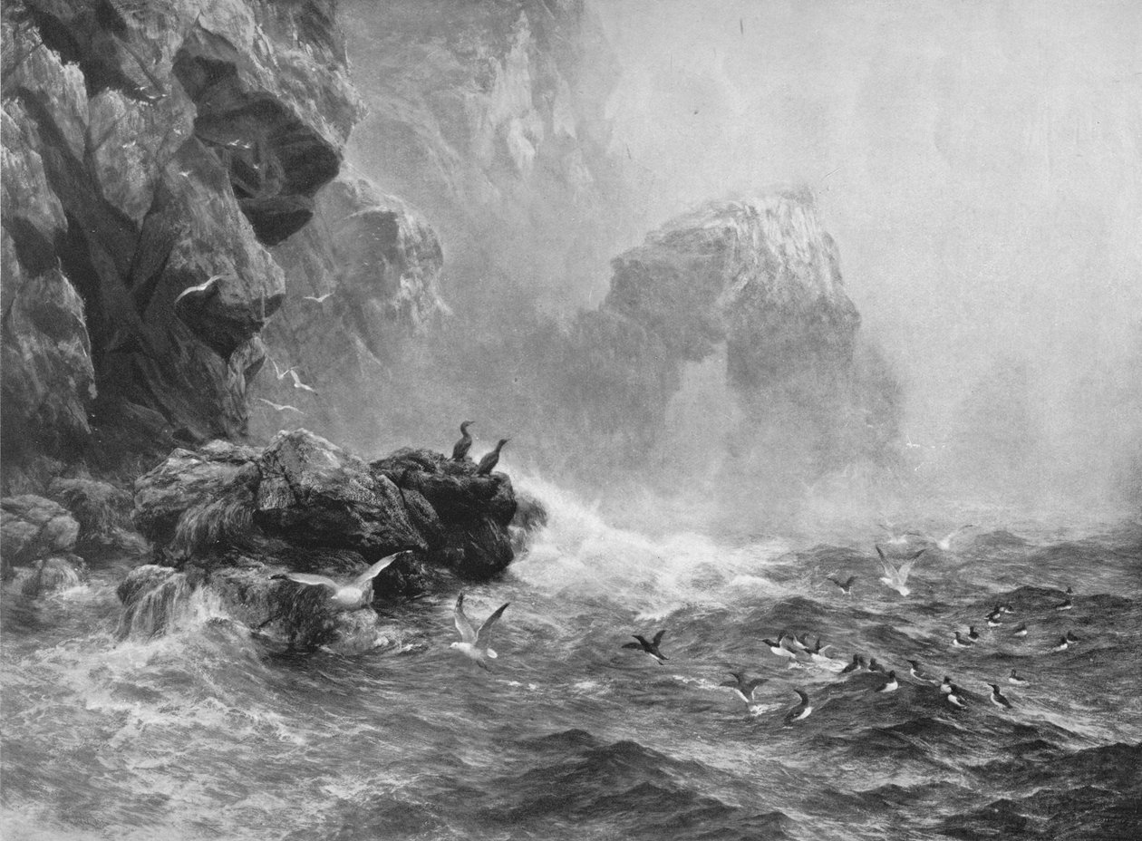 Missä ei mitään kuulla, mutta räjähtävä aalto ja merilinnut huutavat, c1880, 1912 tekijältä Peter Graham