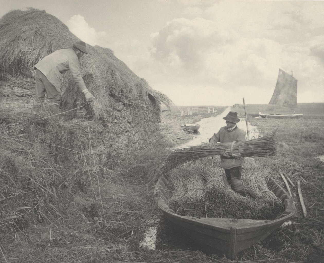 Ricking the Reed, 1886. Tekijät: Tri Peter Henry Emerson, Thomas Frederick Goodall. tekijältä Peter Henry Emerson, Thomas Frederick Goodall