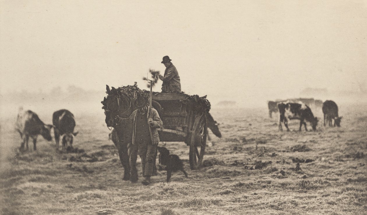 A Frosty Morning, 1890-1891, painettu 1893. tekijältä Peter Henry Emerson