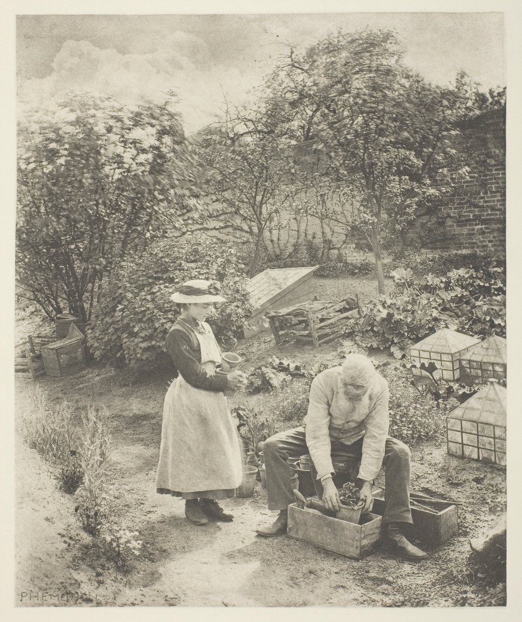 Puutarhan pää (Suffolk) tekijältä Peter Henry Emerson