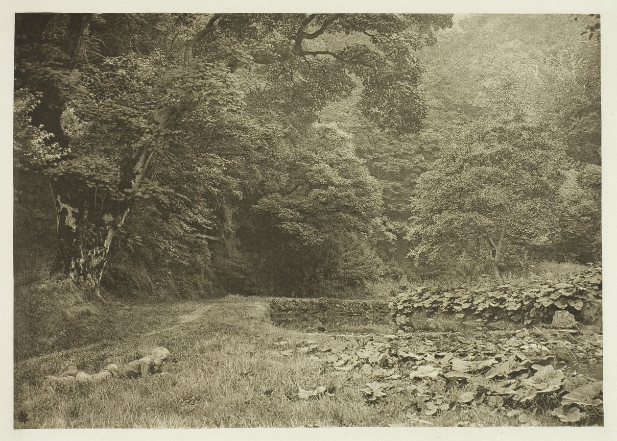 Hiljainen nurkka Beresford Dalen kaupungissa tekijältä Peter Henry Emerson