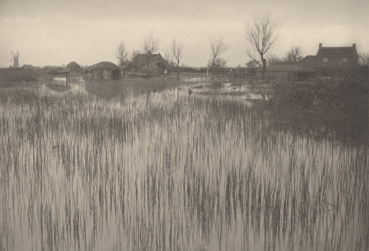 Rantakivikko,1886 (kuva) tekijältä Peter Henry Emerson