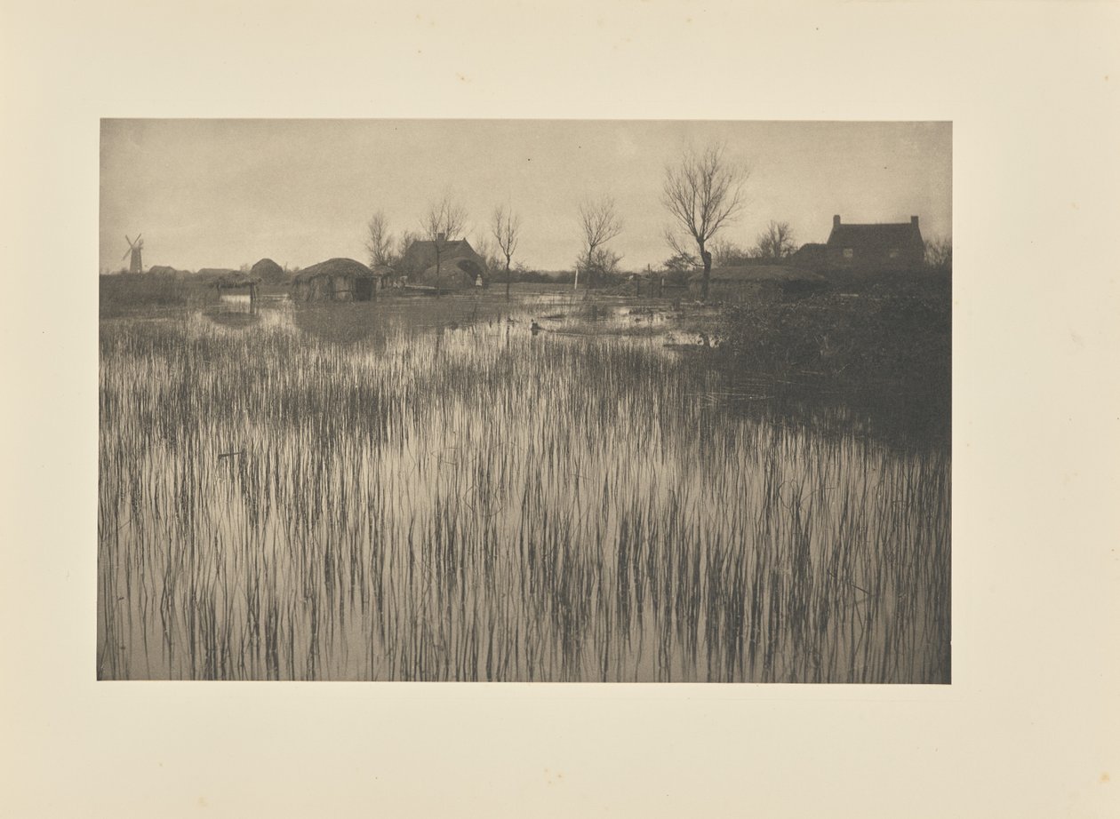 A Rushy Shore tekijältä Peter Henry Emerson