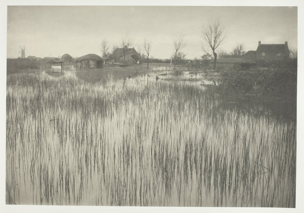 A Rushy Shore tekijältä Peter Henry Emerson