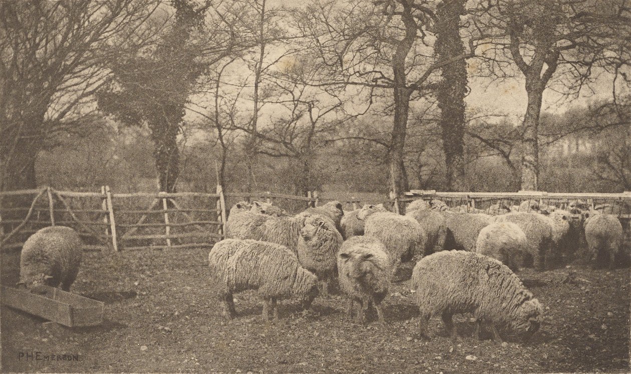 Syksyinen pastoraali tekijältä Peter Henry Emerson
