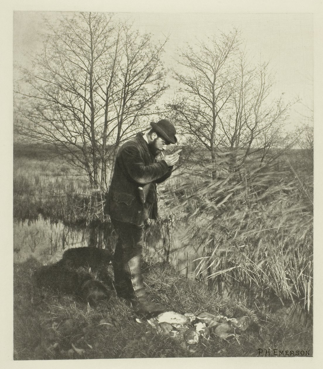 The Covert Corner (Norfolk) tekijältä Peter Henry Emerson
