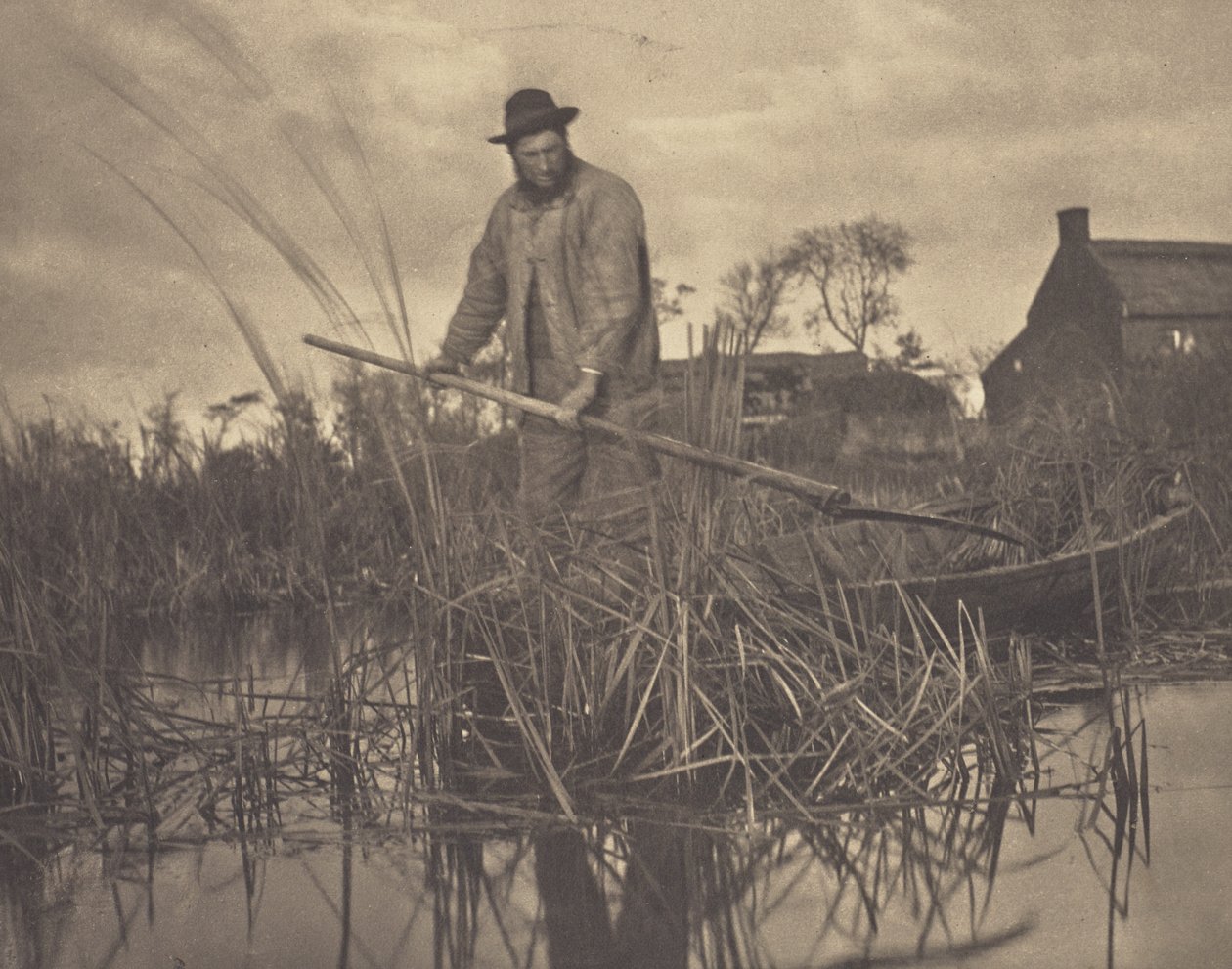 Gladdonin leikkaaminen tekijältä Peter Henry Emerson