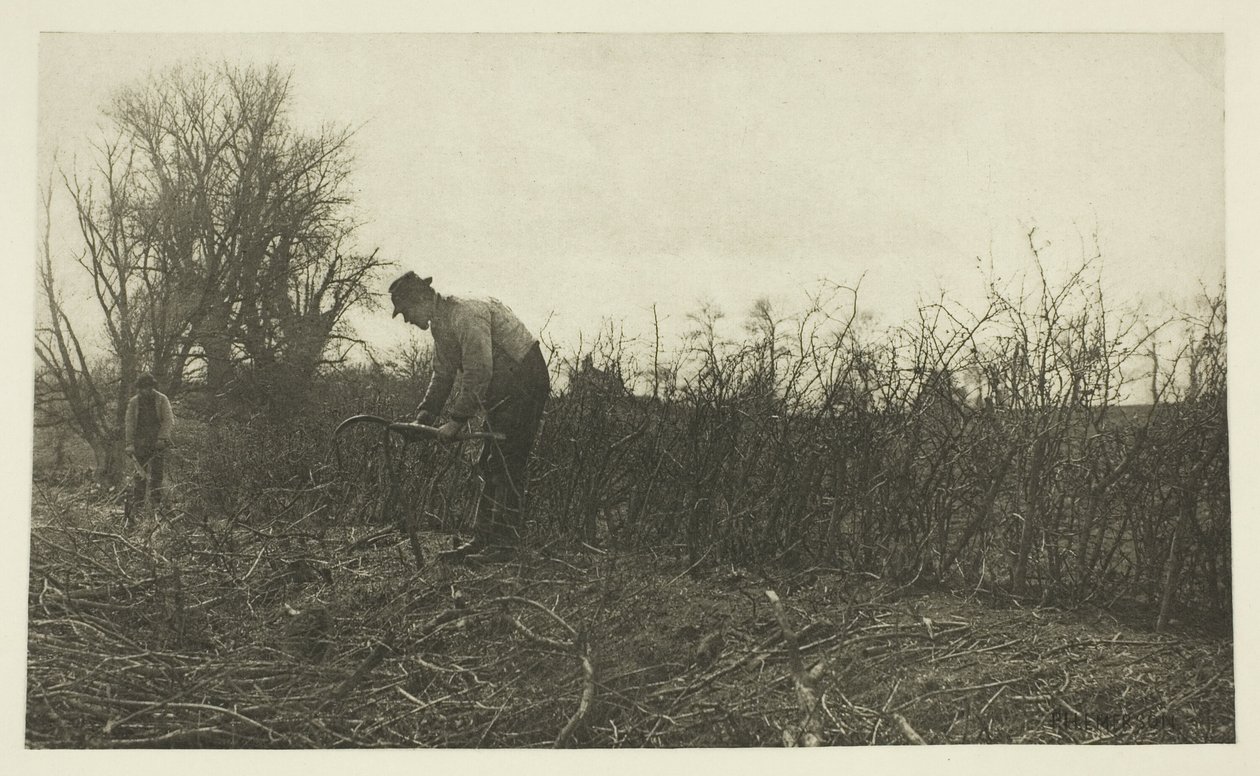 Miekkailu Suffolkissa tekijältä Peter Henry Emerson