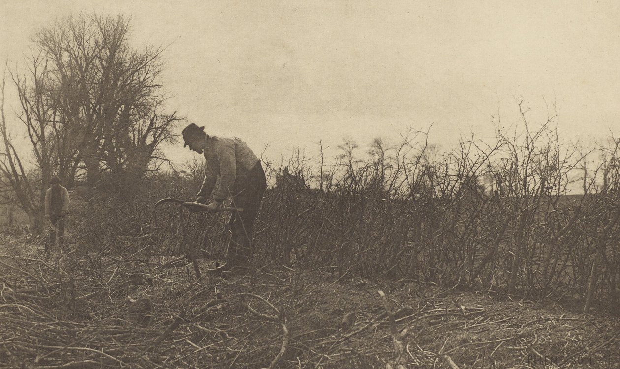 Aitaaminen Suffolkissa tekijältä Peter Henry Emerson