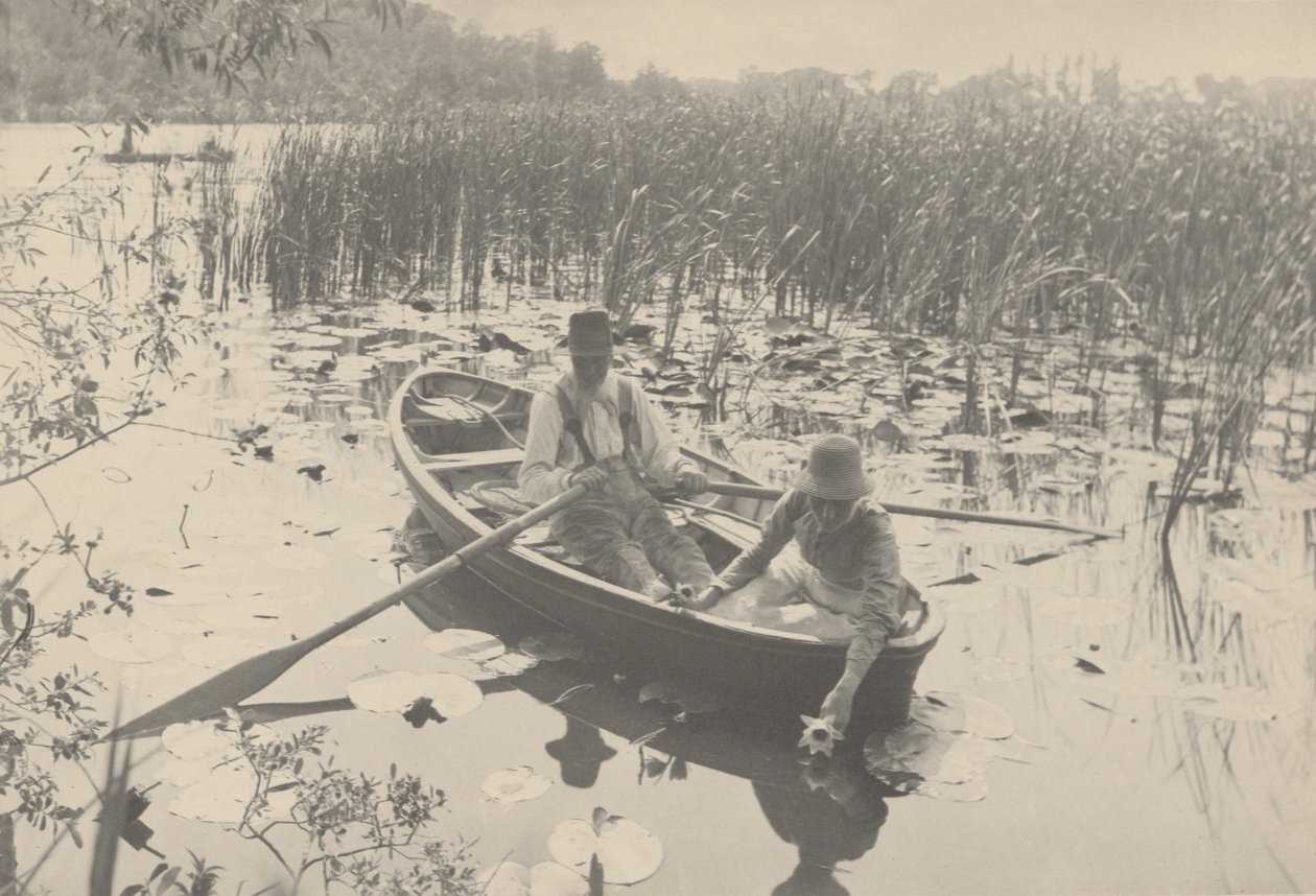 Vesililjojen kerääminen tekijältä Peter Henry Emerson