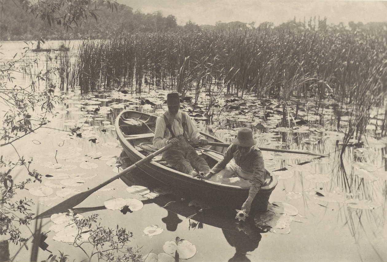 Vesililjojen kerääminen tekijältä Peter Henry Emerson