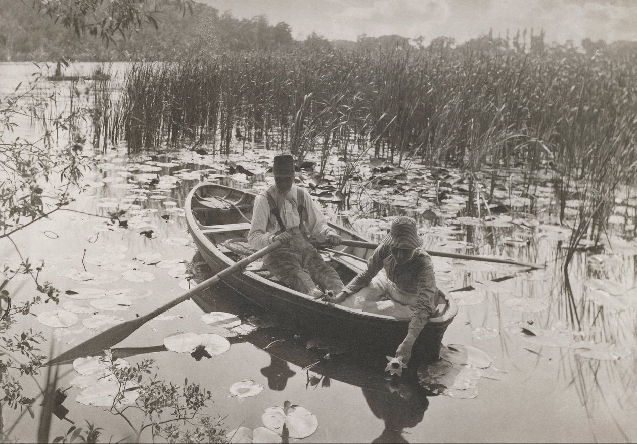 Vesililjojen kerääminen tekijältä Peter Henry Emerson