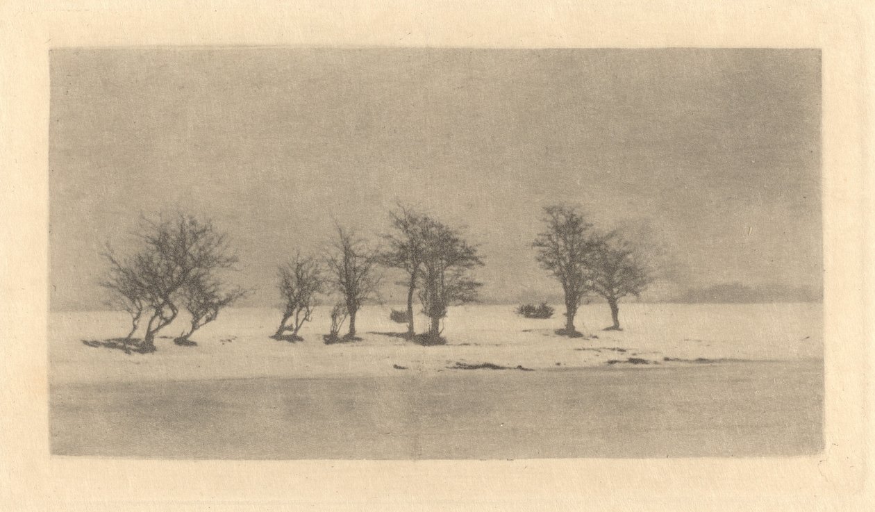 Piikki-orjanpuut tekijältä Peter Henry Emerson