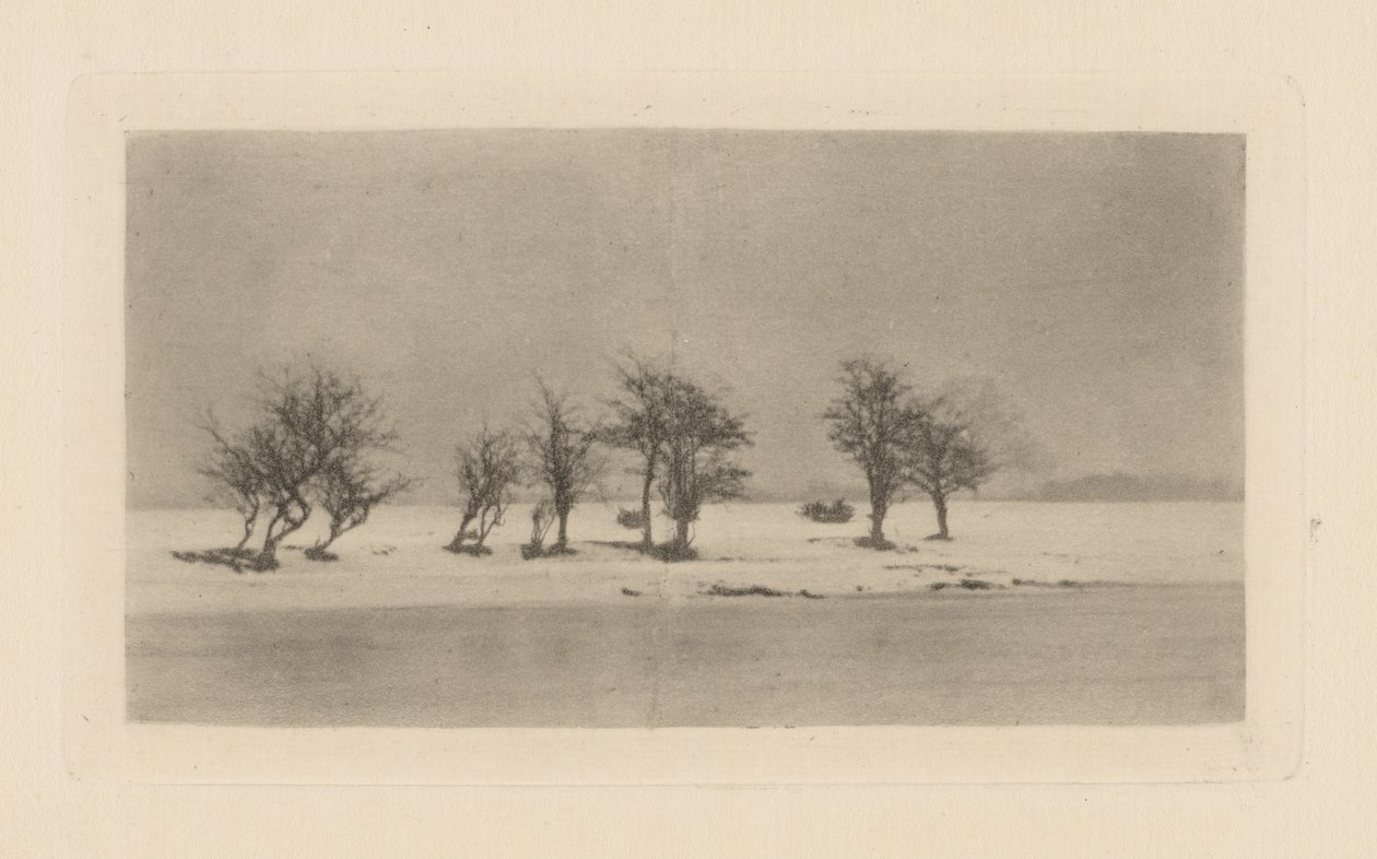 Ryppyiset orjanpuut tekijältä Peter Henry Emerson