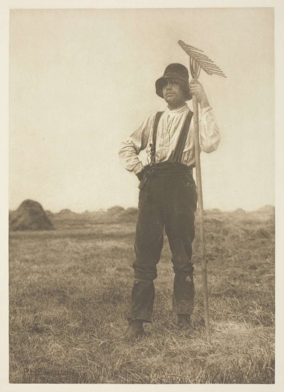 Heinämäinen harava (Norfolk) tekijältä Peter Henry Emerson