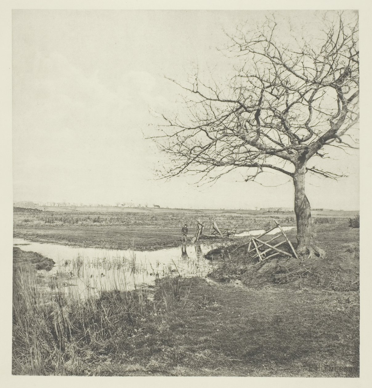 Lehdetön maaliskuu (Suffolk) tekijältä Peter Henry Emerson