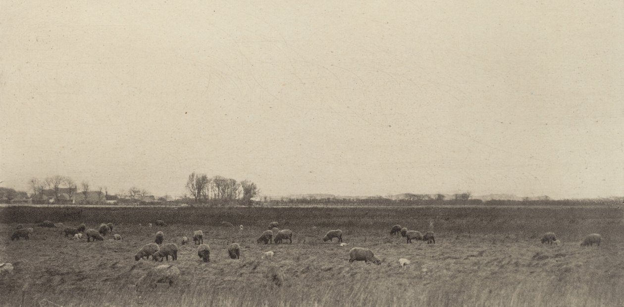 Suot Pohjanmerellä tekijältä Peter Henry Emerson