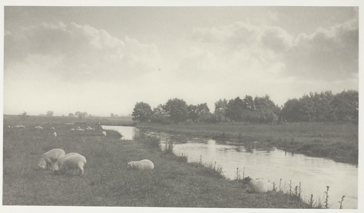 Bure-joella tekijältä Peter Henry Emerson