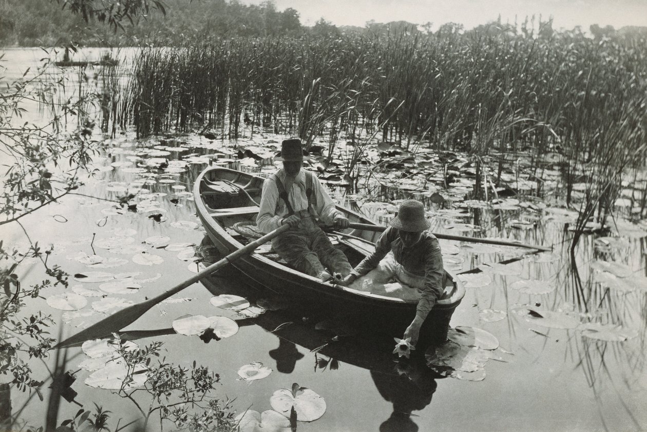 Yksi neljästäkymmenestä platinakuvasta Life and Landscape on the Norfolk Broadsista tekijältä Peter Henry Emerson