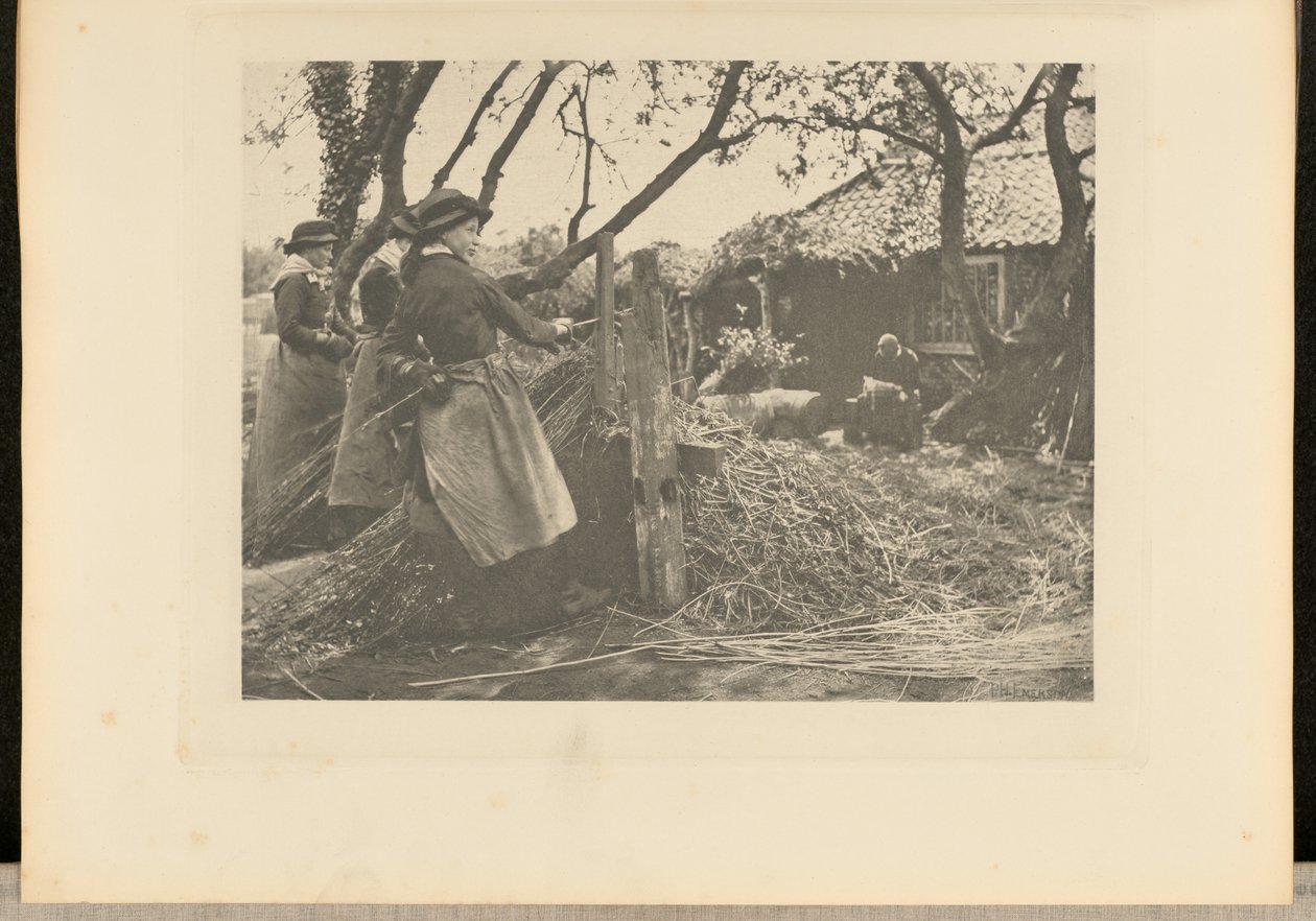 OsierPeeling. [Norfolk]]. tekijältä Peter Henry Emerson