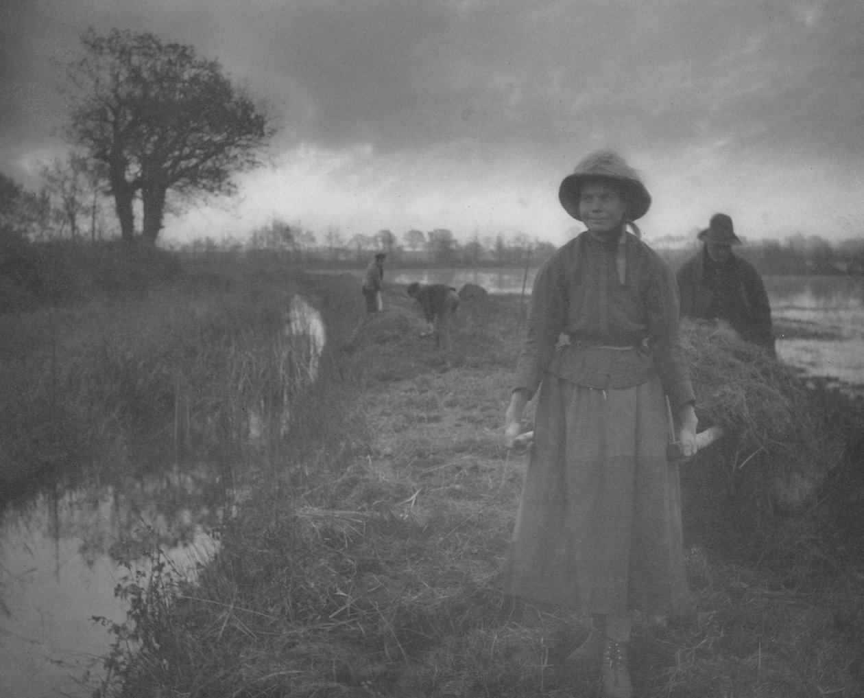 Suoheinää tekijältä Peter Henry Emerson