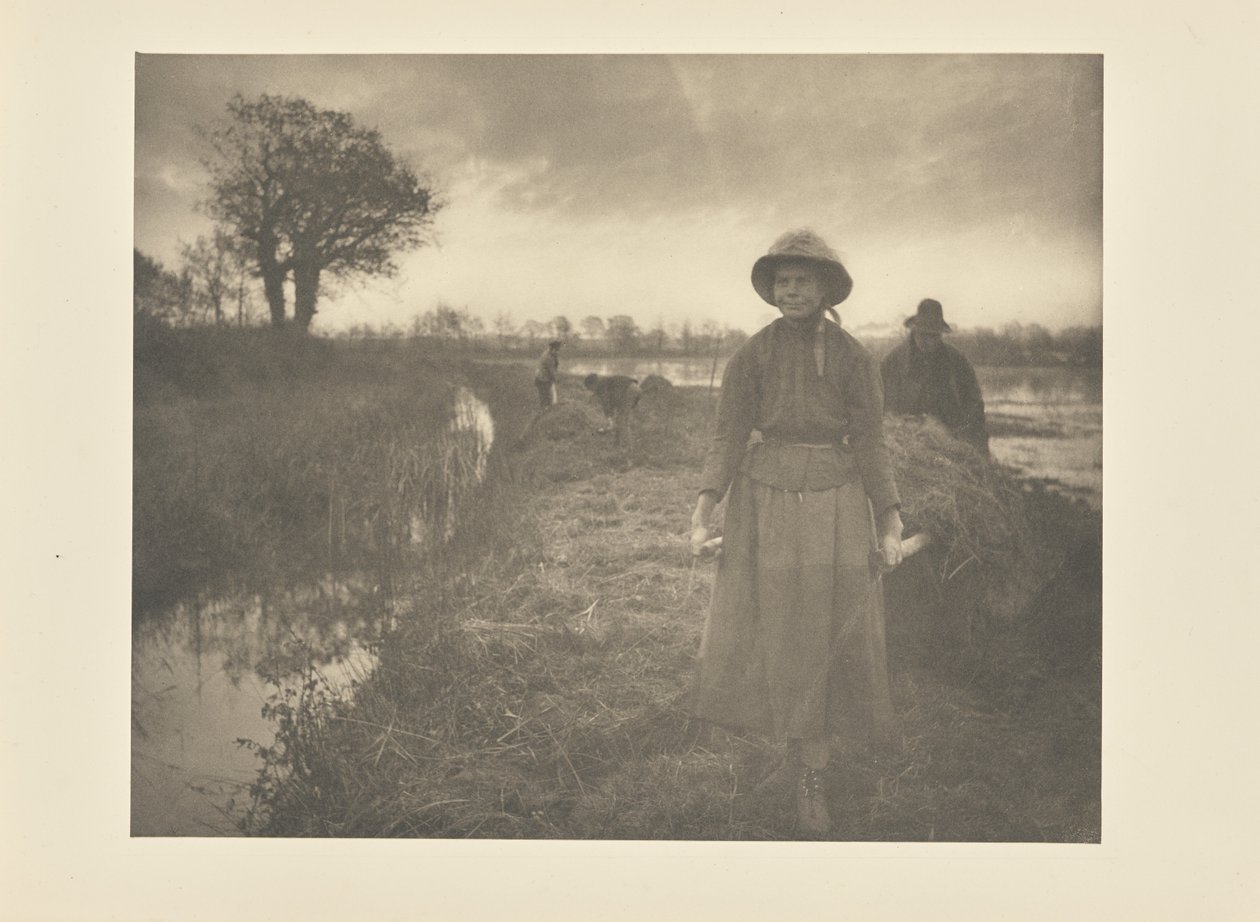 Suoniittyheinän kuljetus sauvomalla tekijältä Peter Henry Emerson