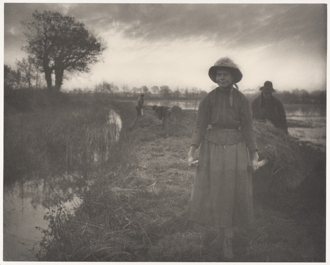 Suoniittyheinän sauvominen tekijältä Peter Henry Emerson