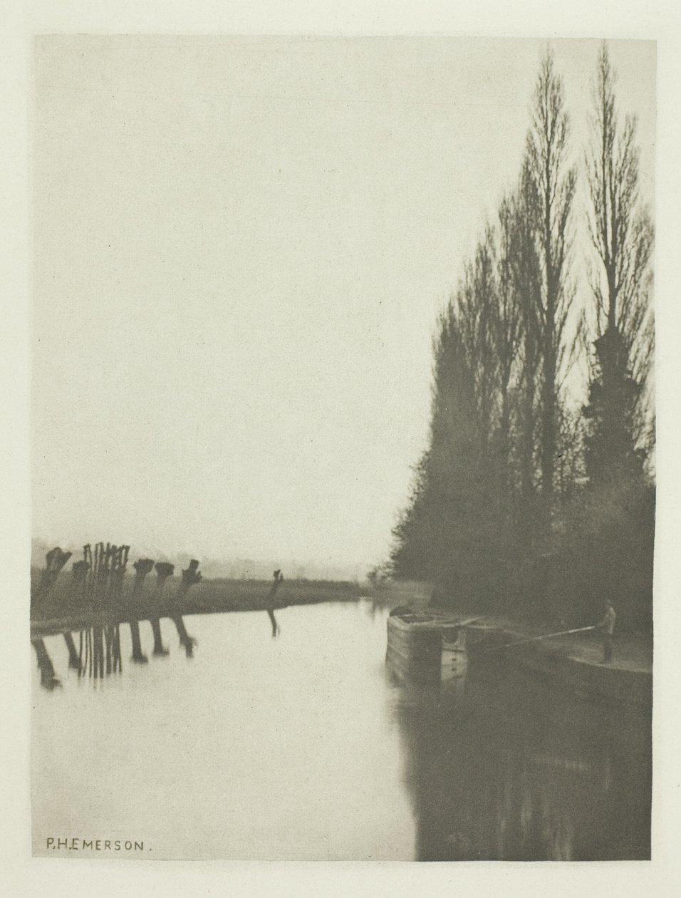 Poplars and Pollards on the Lea, Near Broxbourne tekijältä Peter Henry Emerson