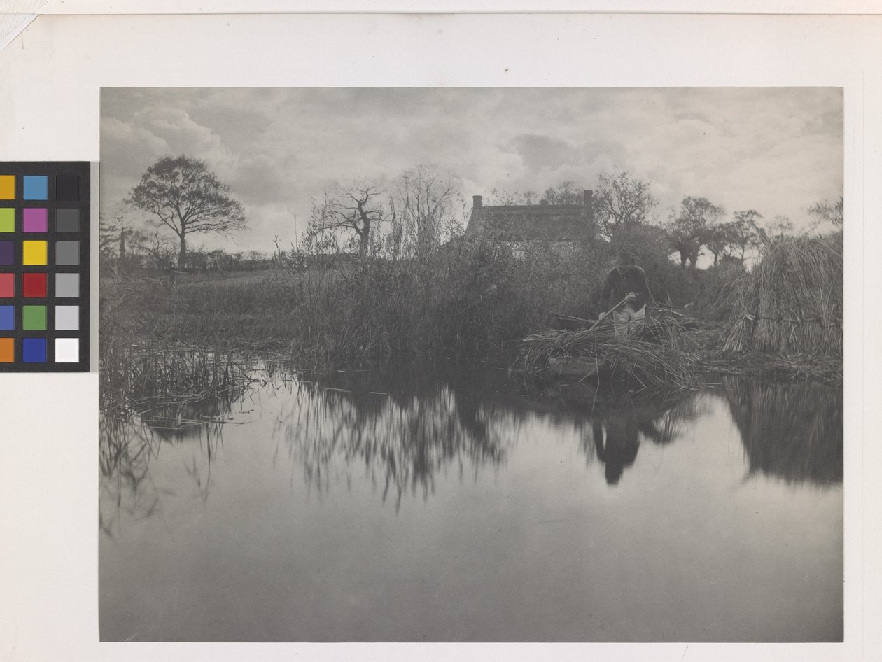 Quanting The Gladdon (platinaprintti alkuperäisessä telineessä) tekijältä Peter Henry Emerson