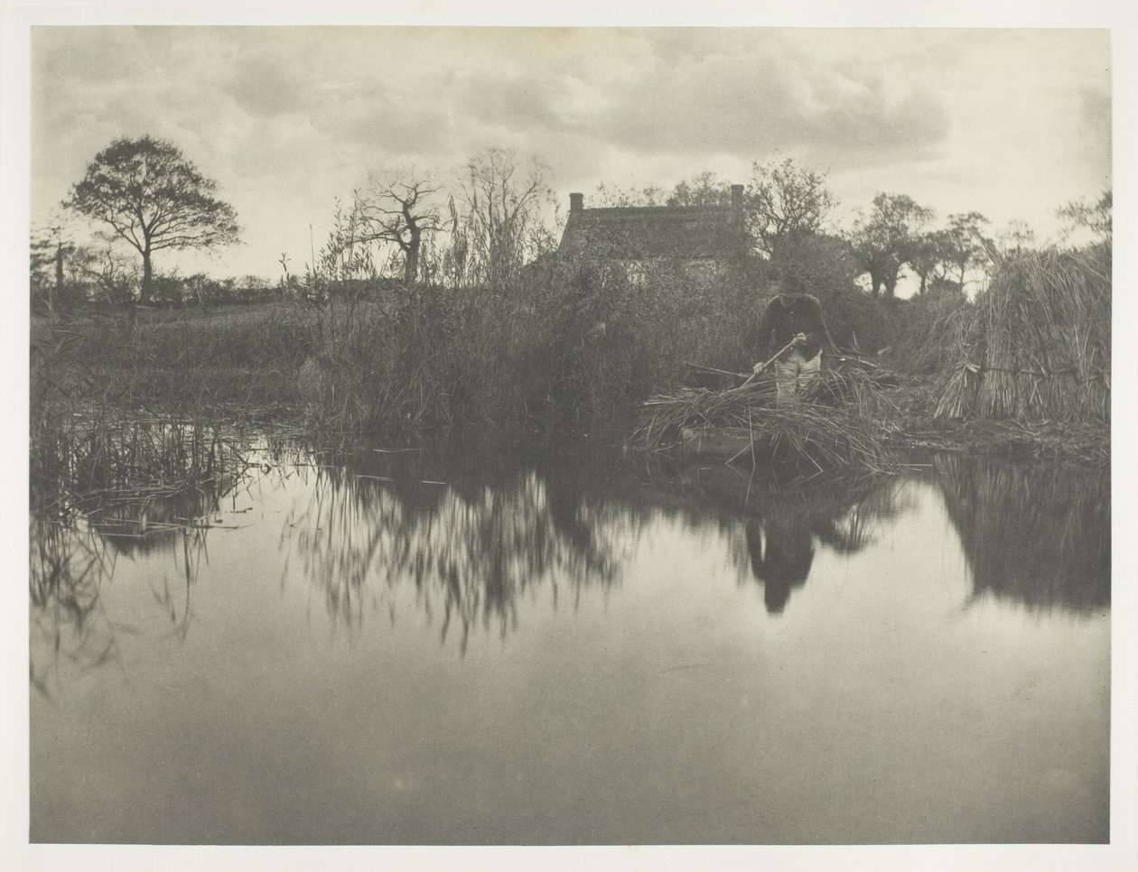 Gladdonin kvantifiointi tekijältä Peter Henry Emerson
