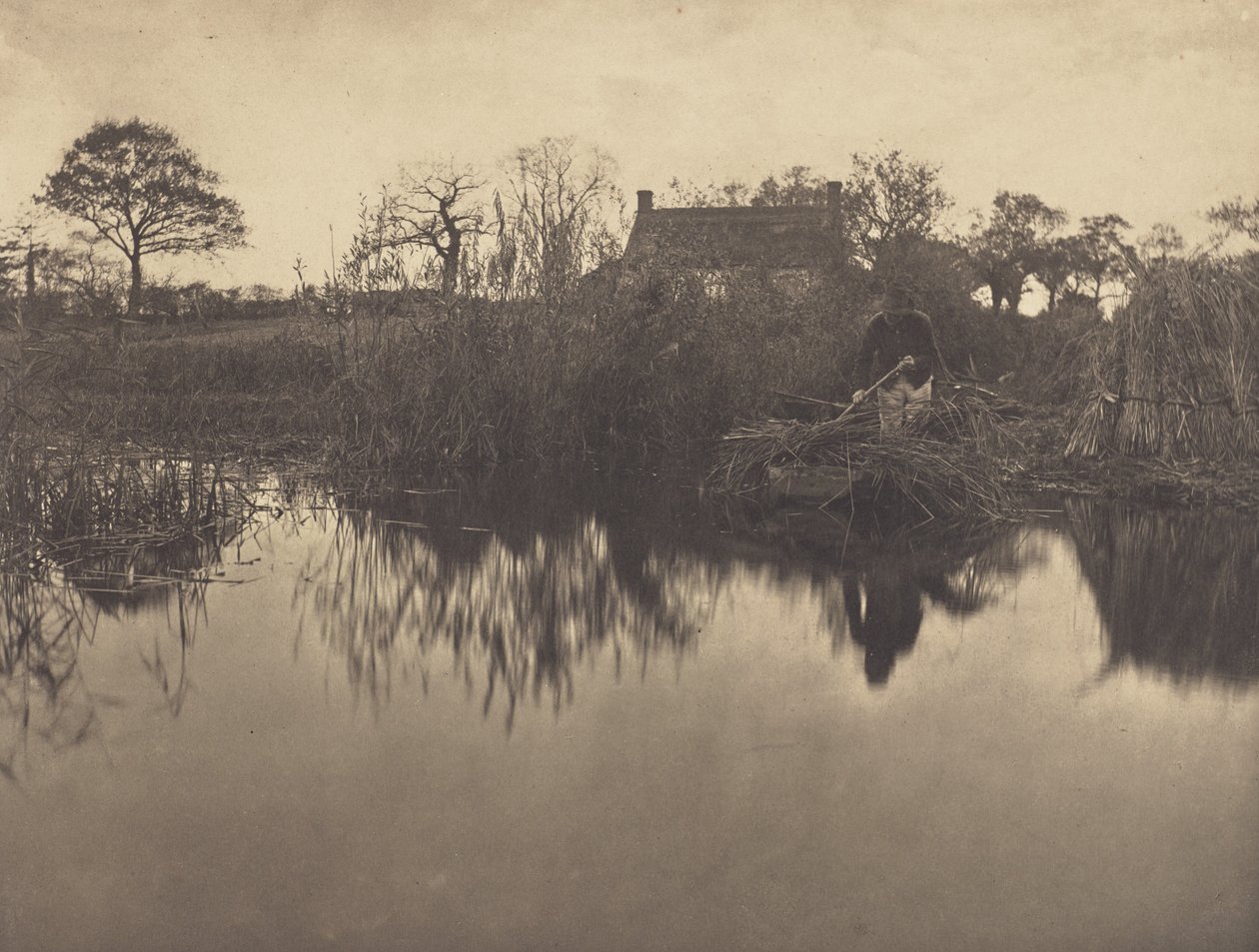 Sauvomassa Gladdonilla tekijältä Peter Henry Emerson