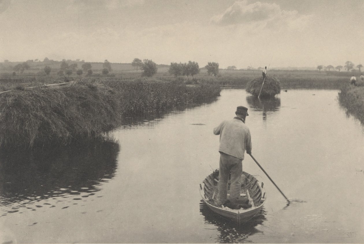 Marsh Hayä laskettaessa tekijältä Peter Henry Emerson