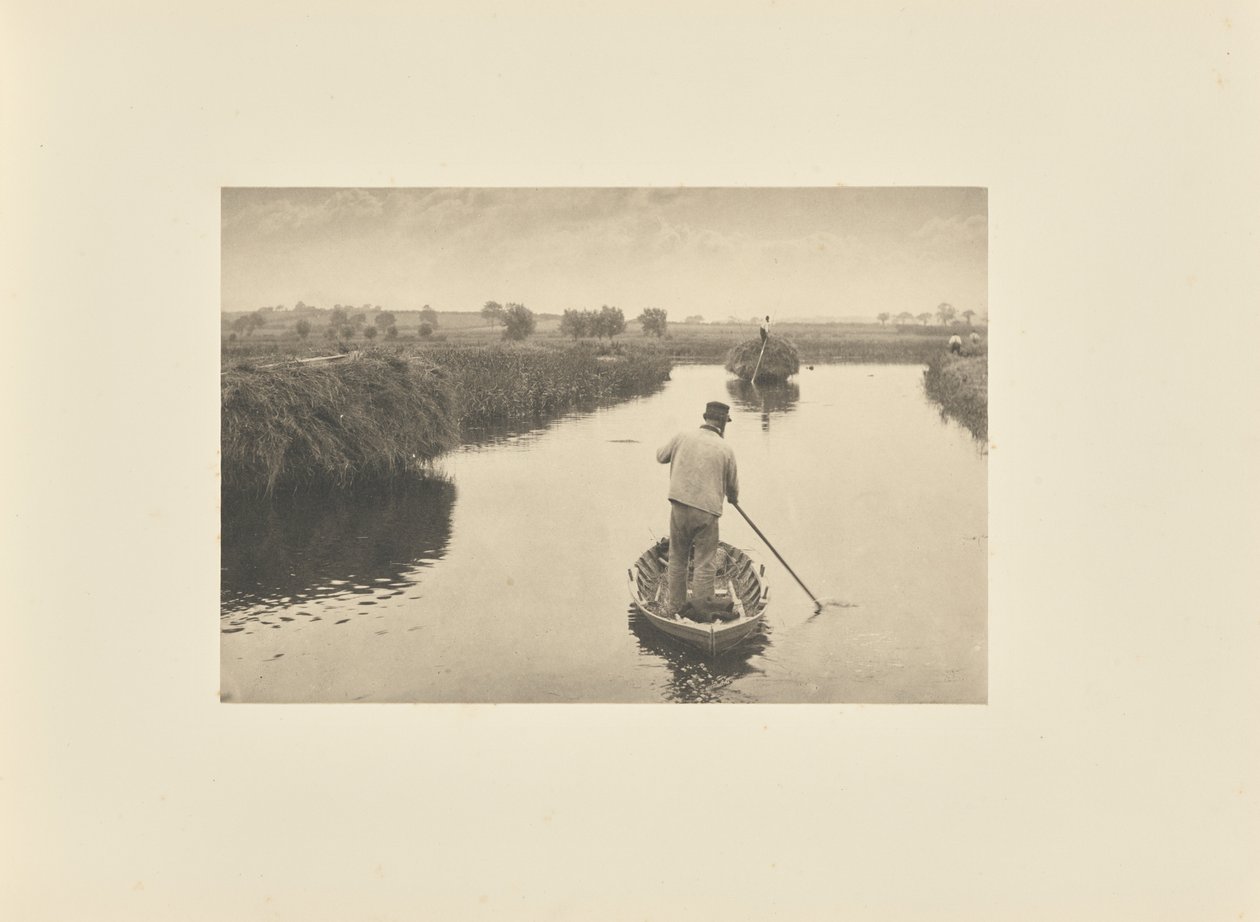 Suon heinän määrällinen arviointi tekijältä Peter Henry Emerson