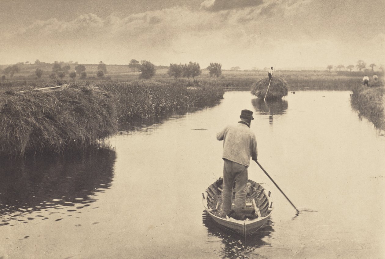 Suonheinän määrän laskeminen tekijältä Peter Henry Emerson