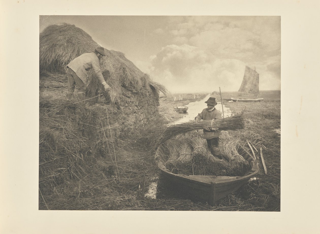 Ruokojen pinoaminen tekijältä Peter Henry Emerson