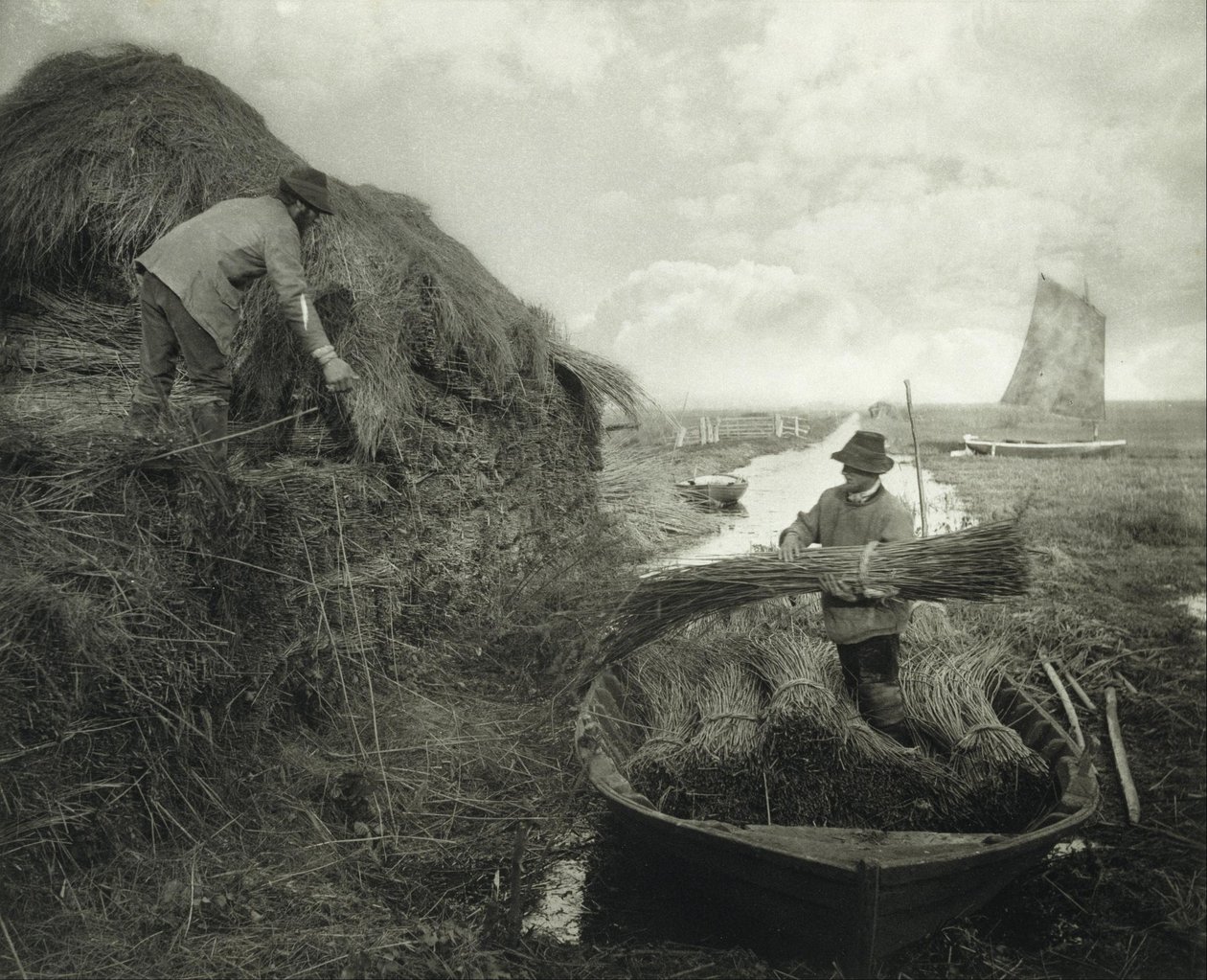 Ruokojen kokoaminen suovaksi tekijältä Peter Henry Emerson