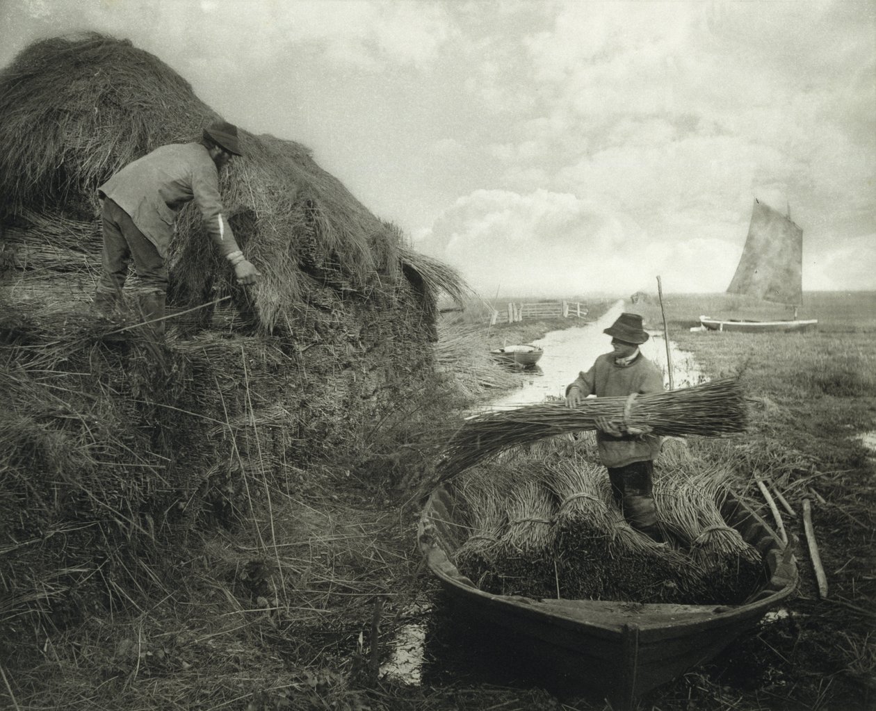 Ricking the Reed, n. 1885 (platinaprintti) tekijältä Peter Henry Emerson
