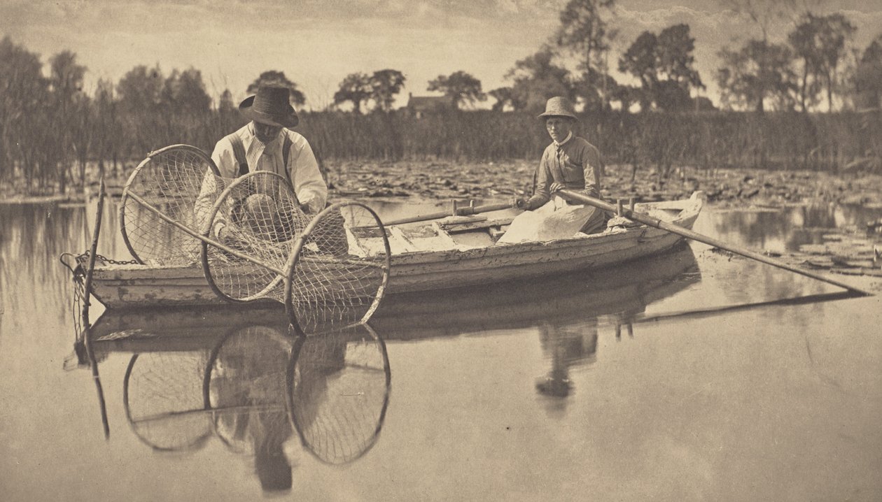 Kaariverkon asettaminen tekijältä Peter Henry Emerson