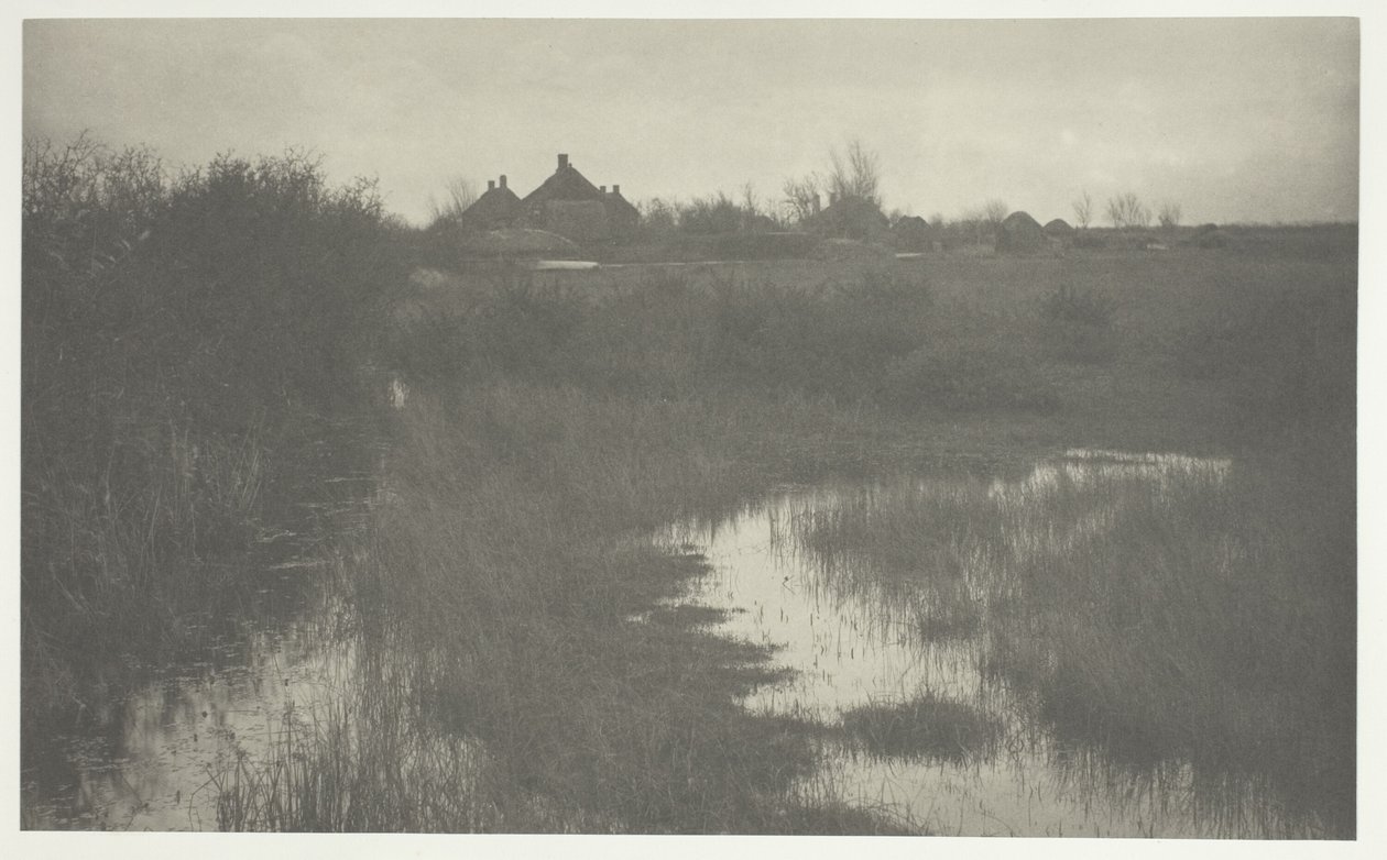Suon reuna-alueet tekijältä Peter Henry Emerson