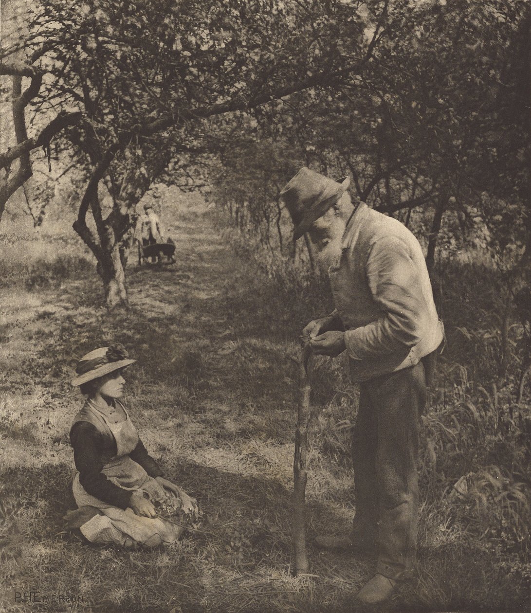 Grafter tekijältä Peter Henry Emerson