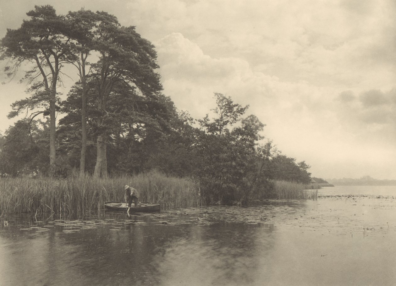 Hauen elinpaikka tekijältä Peter Henry Emerson