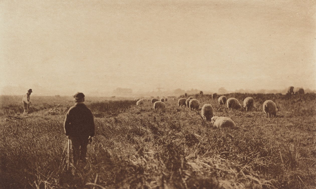 Suot kesäkuussa 1890-1891, painettu 1893. tekijältä Peter Henry Emerson