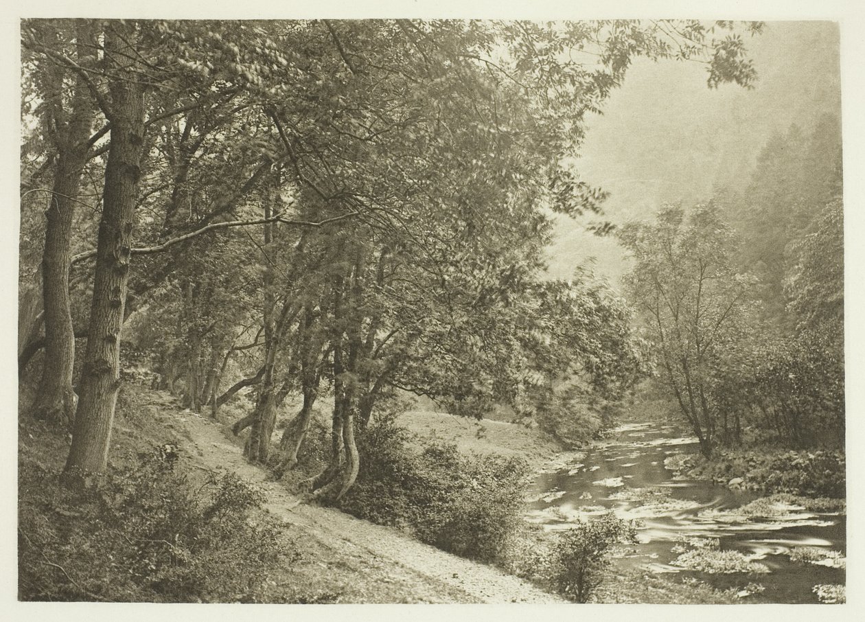 Polku First Braen yli, Dove Dale (Dove Dale) tekijältä Peter Henry Emerson
