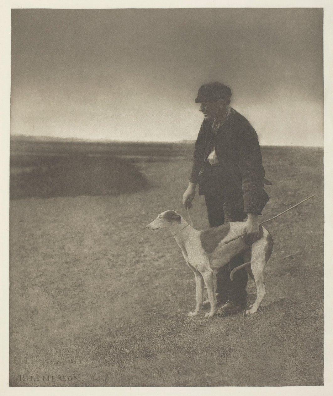 Salametsästäjä - Jänis näkyvissä, (Suffolk) tekijältä Peter Henry Emerson