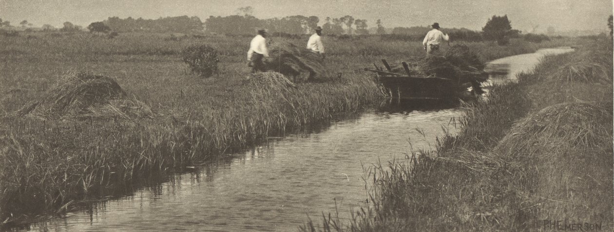 Sedge-sato tekijältä Peter Henry Emerson