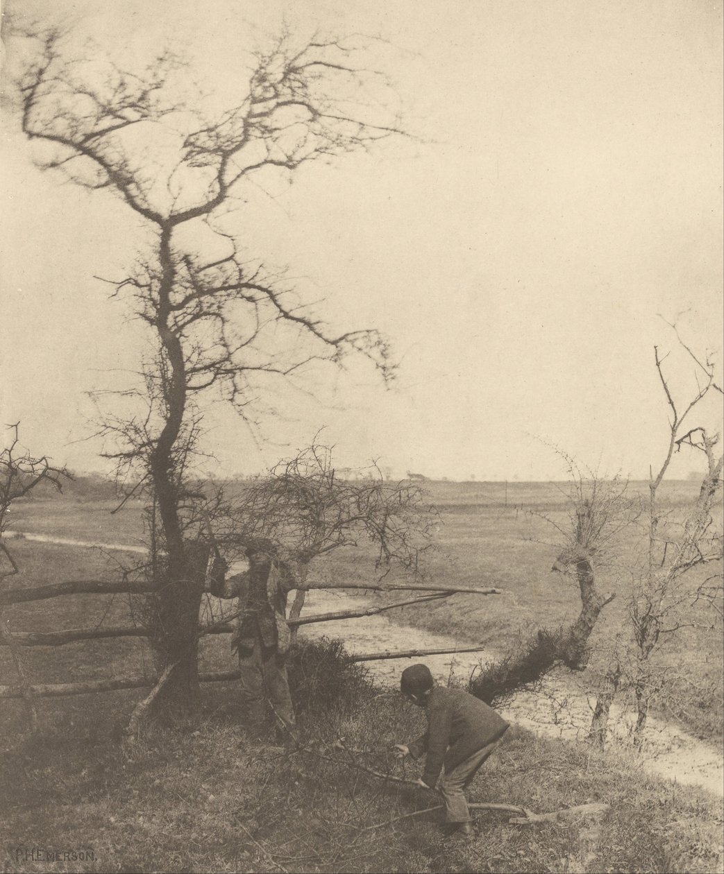 Oksuleikkurit tekijältä Peter Henry Emerson