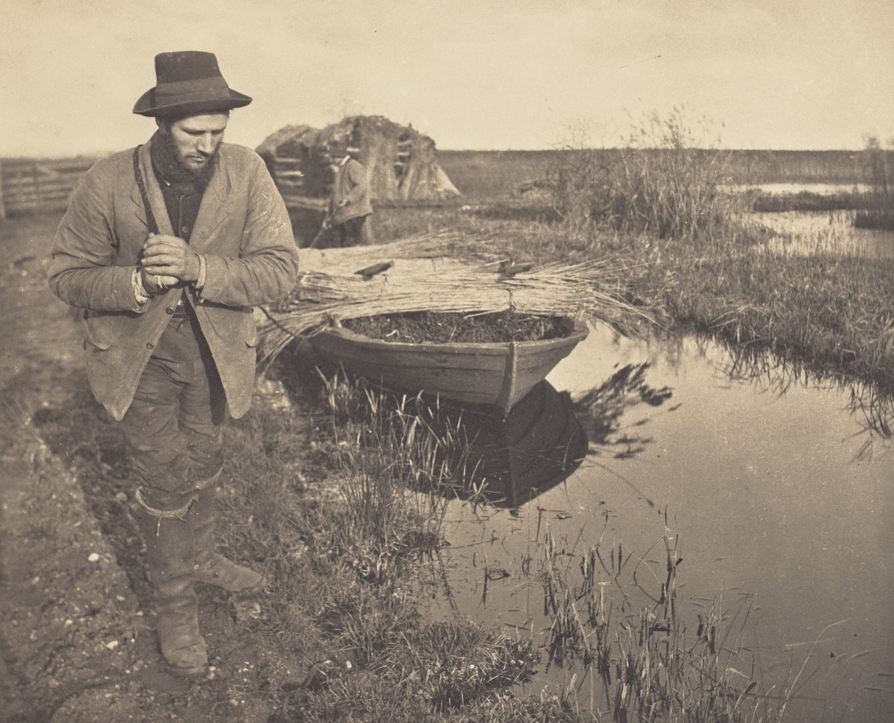 Kaislojen hinaaminen tekijältä Peter Henry Emerson